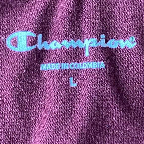 Champion Ski The Alps Garmisch Alpine World Cup Neon Stripe T-Shirt Fandom-L - Picture 8 of 9